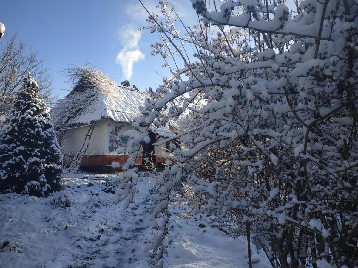 Affittacamere Koryakivskyi Rai Dmitrenki Esterno foto
