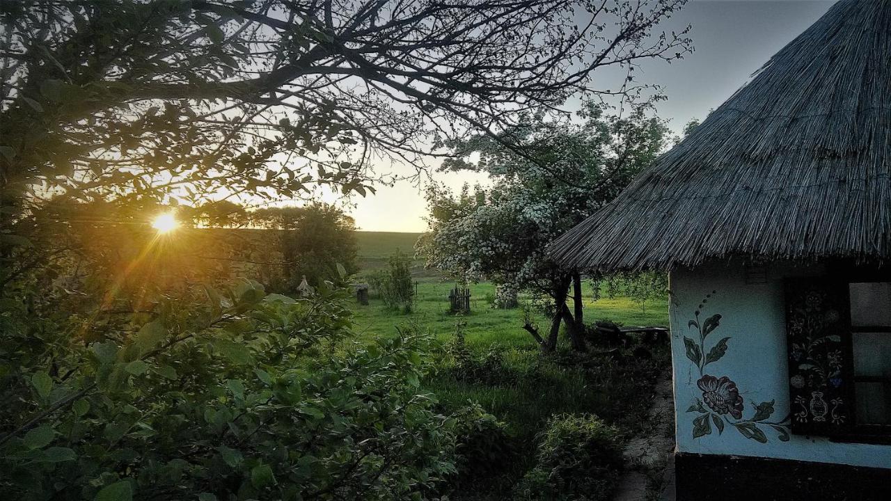 Affittacamere Koryakivskyi Rai Dmitrenki Esterno foto